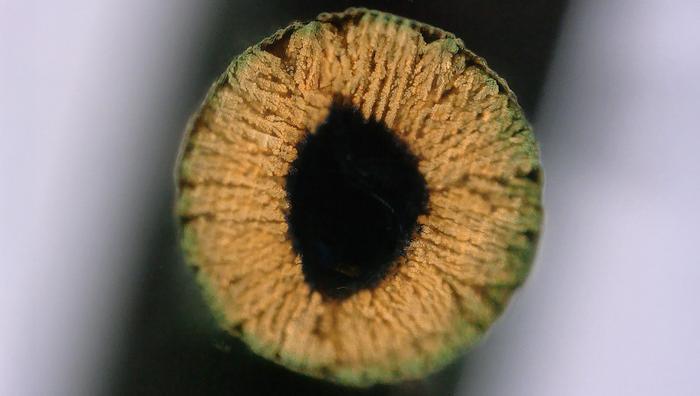 让超强材料“长”出来，新技术实现先打印再选材